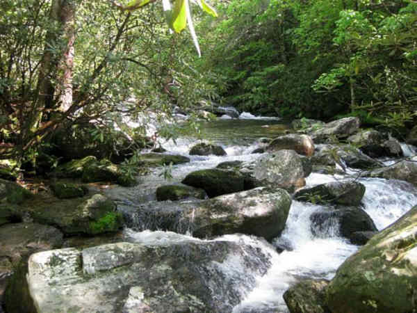The boulder-filled Thompson River.