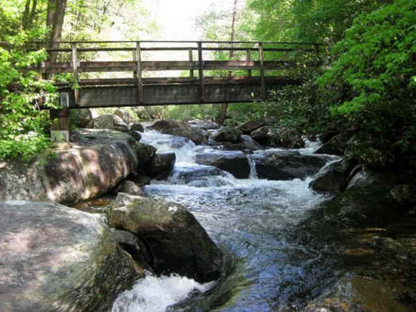 Footbridge over the Thompson River.