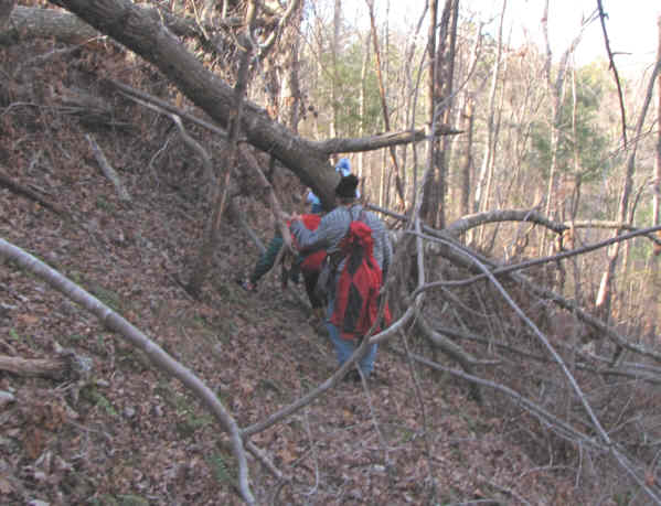 Lots of fallen trees make the trail difficult in several spots.