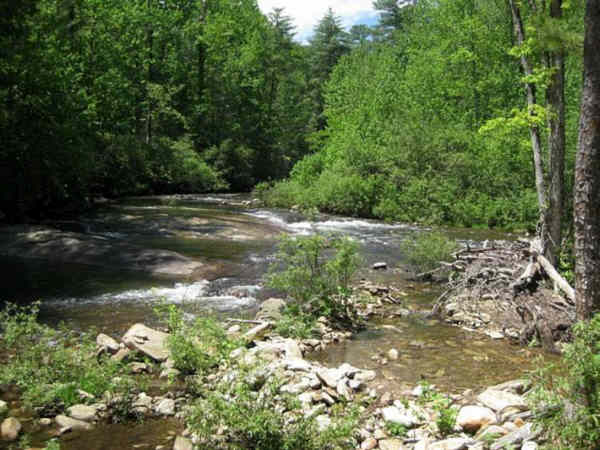 Lots of nice river views along this hike.
