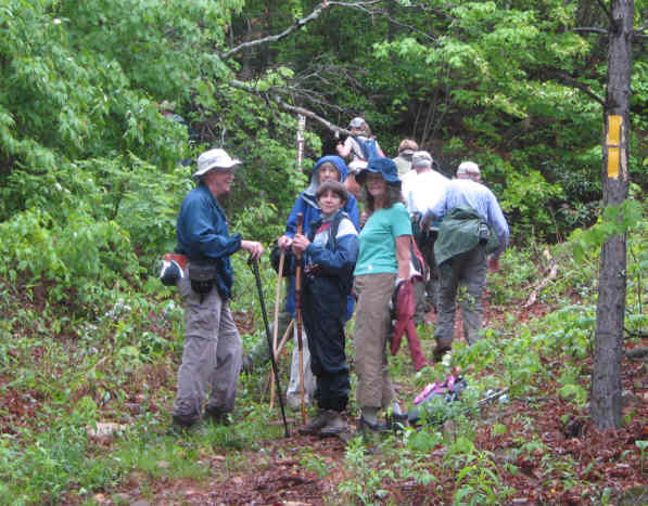 After starting out on an old roadbed, the trail turns left here heads uphill.