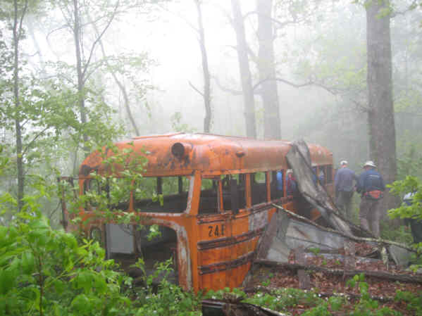 The famous old abandoned school bus.