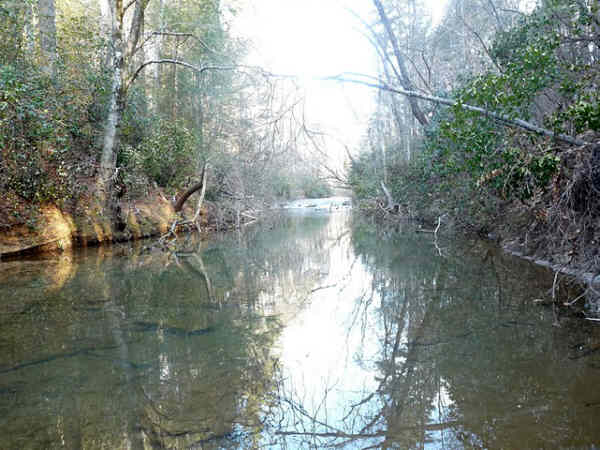 A beautiful calm spot on the river!