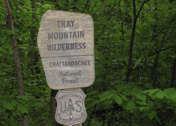 As we start the climb up Tray, we enter the Tray Mountain Wilderness area.