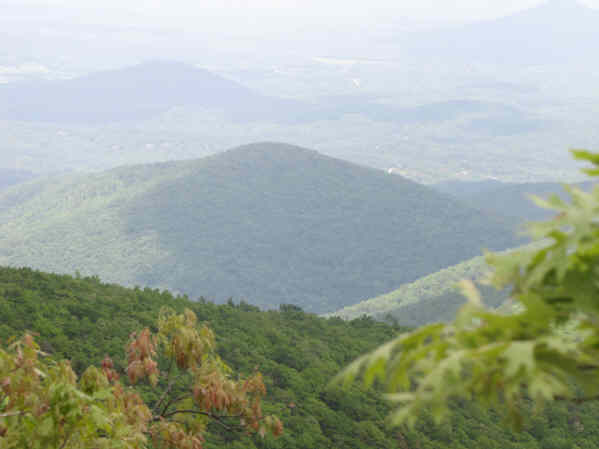 View three