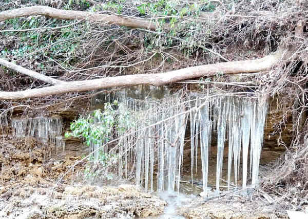 January icicles!
