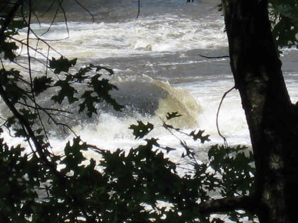 With recent heavy thunderstorms, the Chattooga was roaring violently!