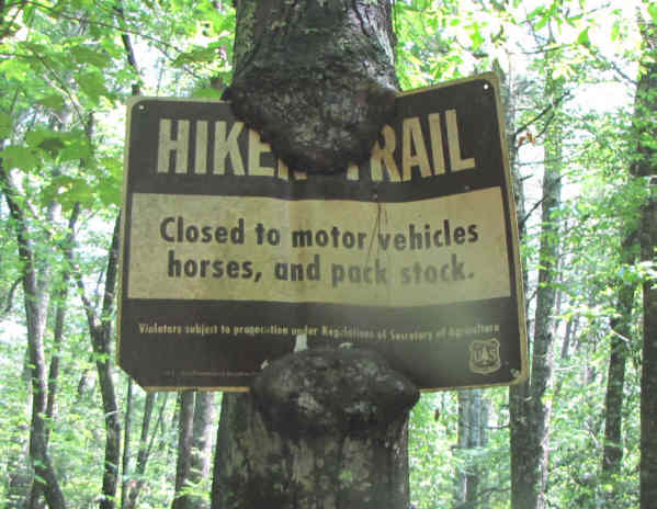 This tree decided to eat the sign!