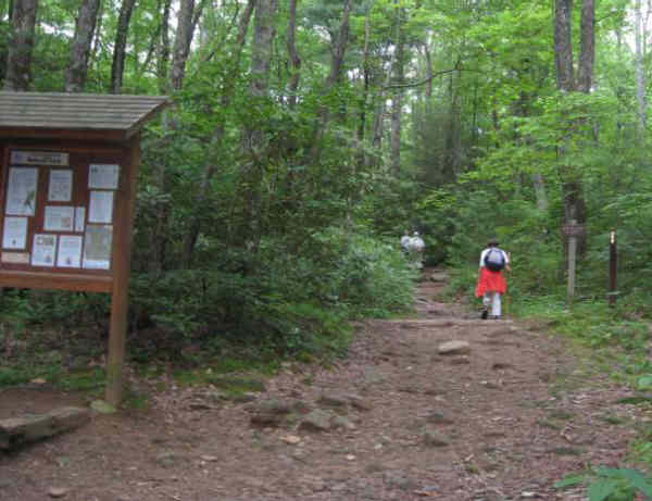 Starting up the Reece Trail to the A.T.