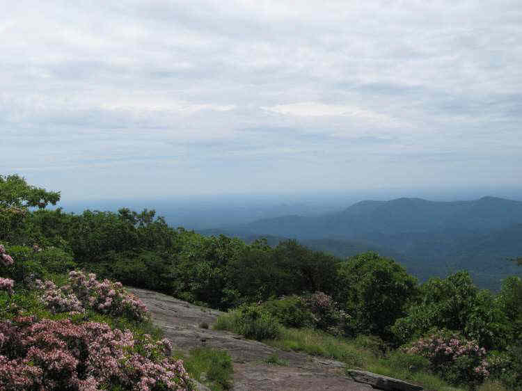View 2!