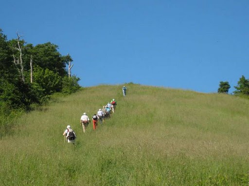 Climbing the long grassy slope to the summit of Siler Bald.