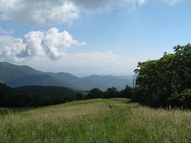 View 1 from Siler Bald