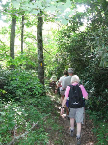 Starting up the Bartram Trail toward the summit of Scaly Mt.