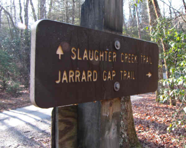 We hiked up to Blood Mt on the Slaughter Creek Trail and back on the Jarrard Gap Trail.