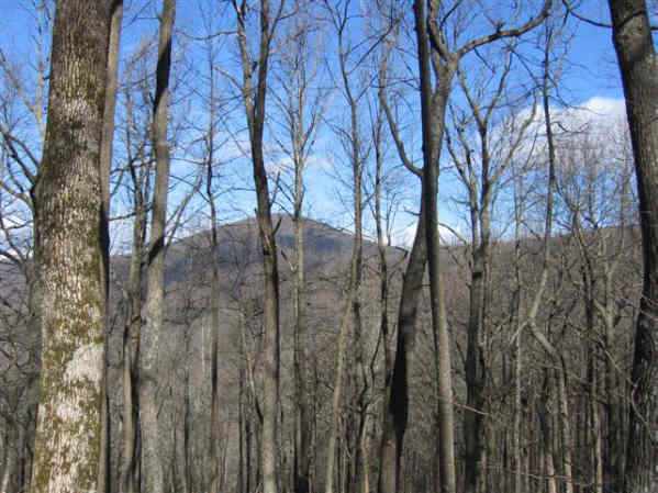 Lots of nice mountain views all the way along the trail.