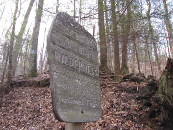 We enter the Blood Mountain Wilderness.
