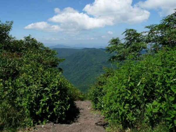 The summit of Standing Indian Mt. is on a short side-trail off of the A.T.