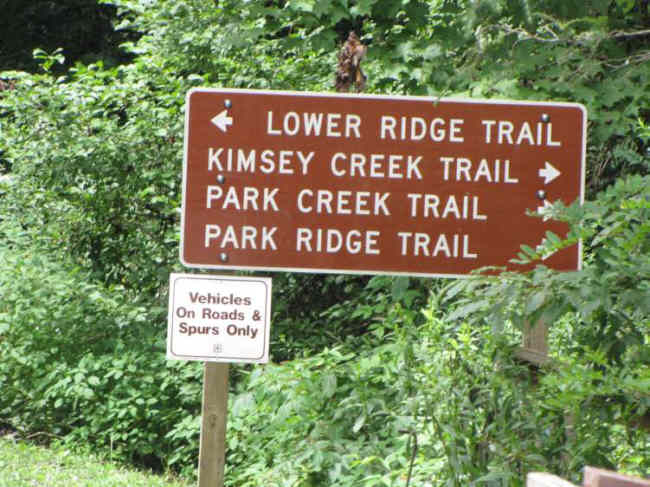 Many trail options