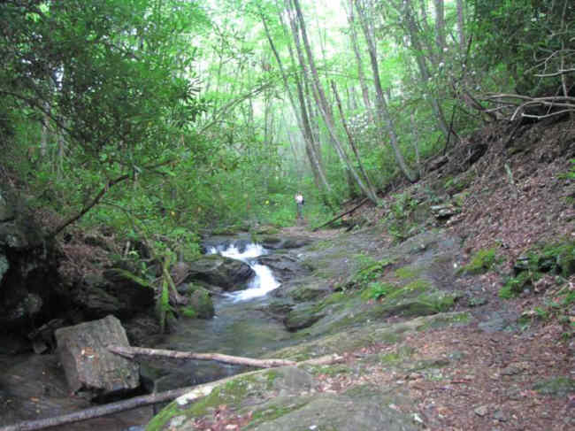 The Kimsey Creek trail stays close to the beautiful creek.