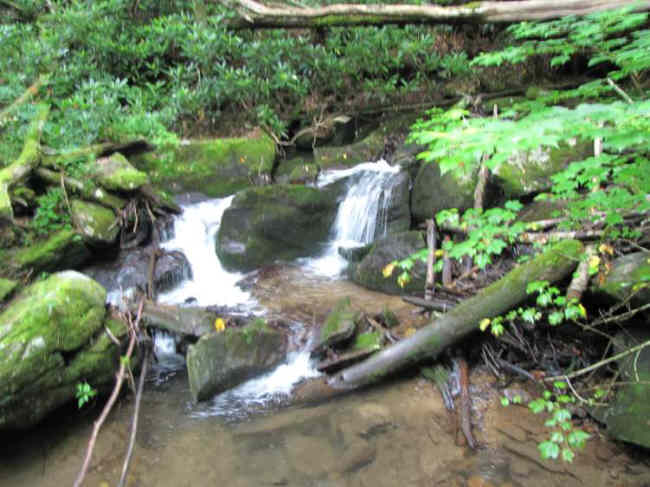 Many beautiful spots along Kimsey Creek