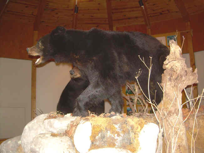 Inside the visitors center.