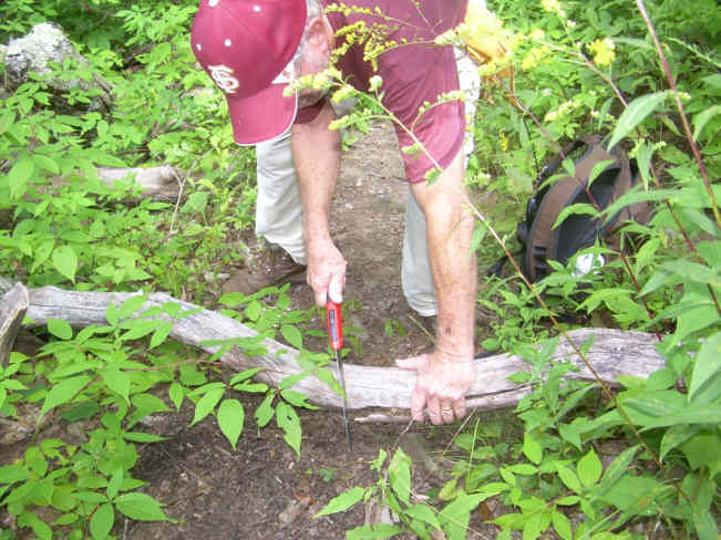 Vic tries out his new saw on a trail obstruction.