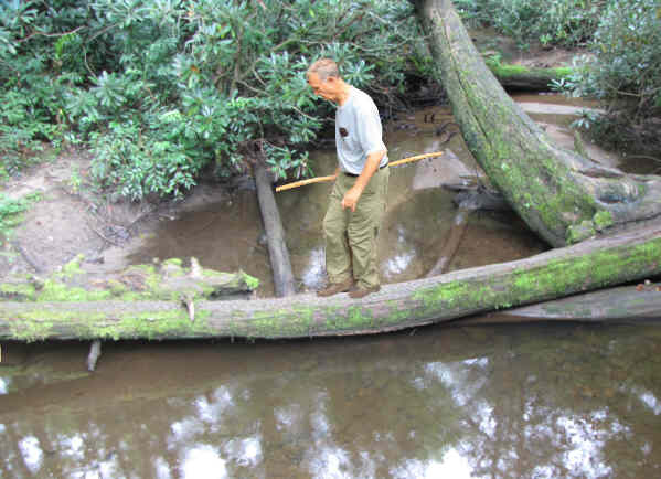 Walking a slick log!
