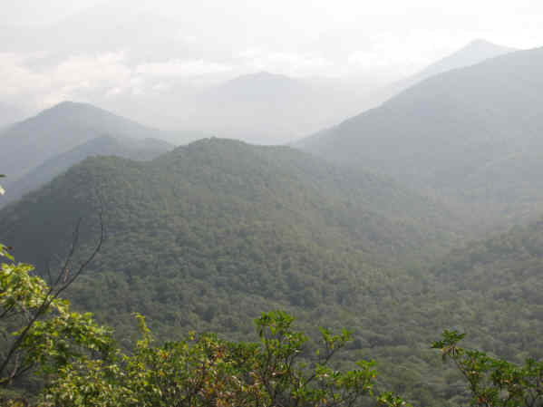 View from Albert Mt.