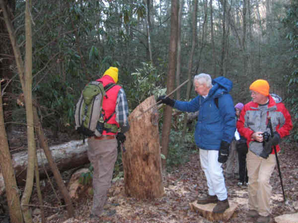 We found lots of evidence of trail maintenance crews removing dead trees along the trail.