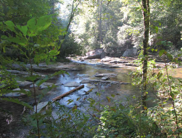 Many great views of Panther Creek all along the trail.