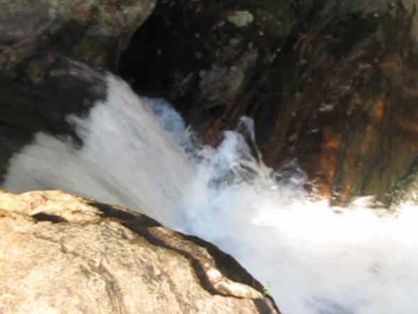 Above Panther creek falls, there is a violent rush of Panther Creek between two boulders.
