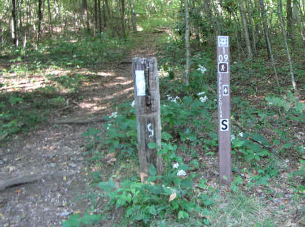 Appalachian Trail markers at Deep Gap headed South.