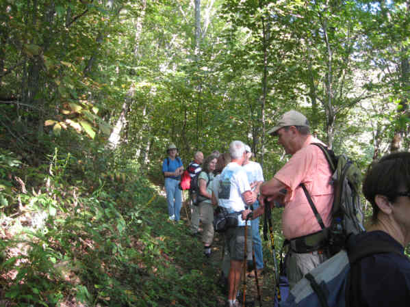 18 hikers today.