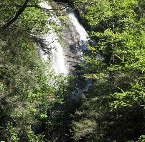 Anna Ruby is double falls. This portion is formed by Curtis Creek.