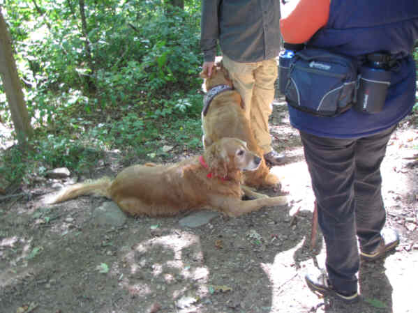 Loyal trail dogs today. "Ty and Jessie" Wintle!