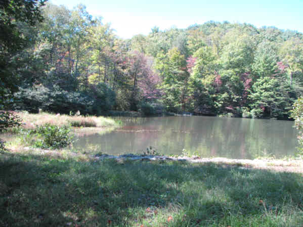 The upper end of the lake.