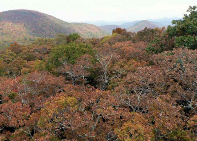 Awesome mountain views from the tower!
