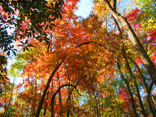 More color!