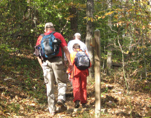 Headed up Springer.