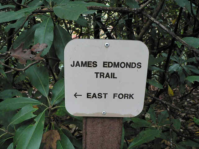 We did the East Fork on the way out and the West Fork back to the start.