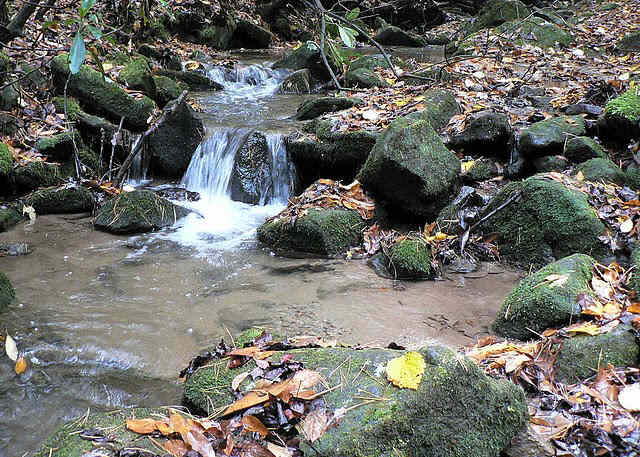 Beautiful mountain creeks!
