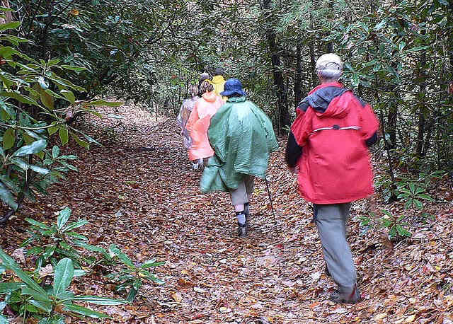 A brief shower on the trail.