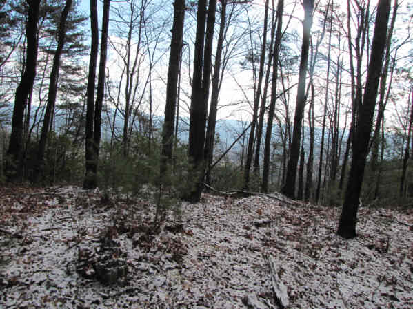 The beauty of a January hike in the Georgia mountains!