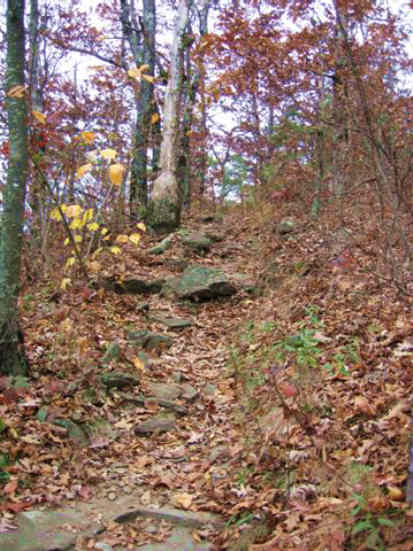Typical rocky spot along the A.T. in GA.