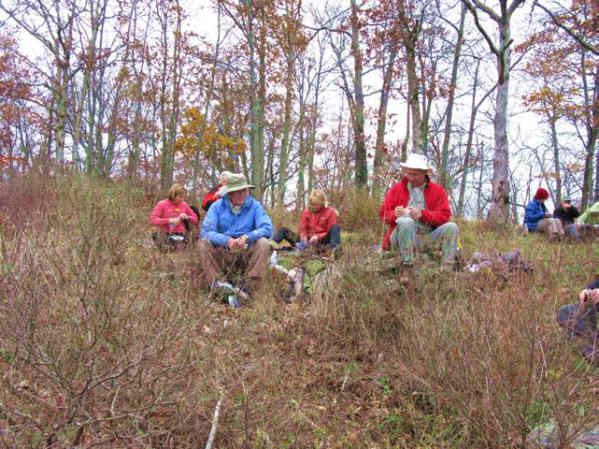Lunchtime on Wolf Laurel Top!