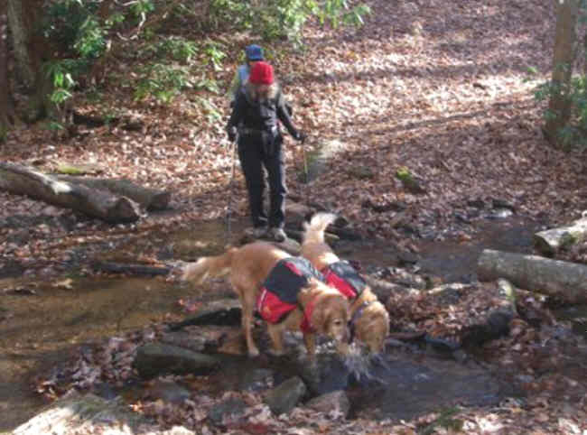 Ty and Jessie enjoy the creek crossing!
