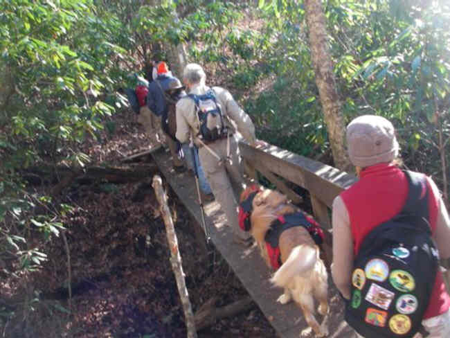 A bridge crossing early into the hike.