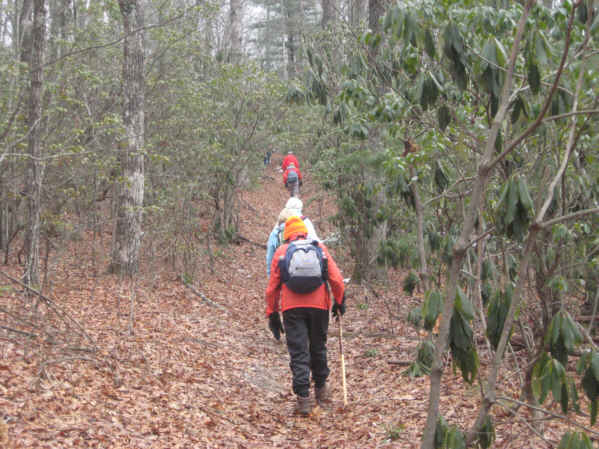Headed up the Pinnacle Connector Trail to Courthouse Gap!