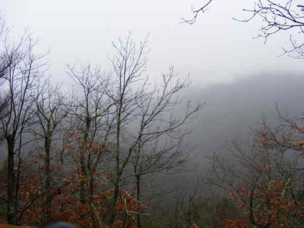 Typical view along the trail.