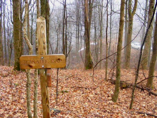 Marker near Tesnatee Gap.